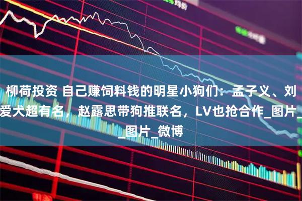 柳荷投资 自己赚饲料钱的明星小狗们：孟子义、刘宇宁爱犬超有名，赵露思带狗推联名，LV也抢合作_图片_微博