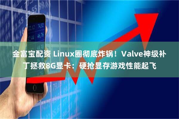 金富宝配资 Linux圈彻底炸锅！Valve神级补丁拯救8G显卡：硬抢显存游戏性能起飞